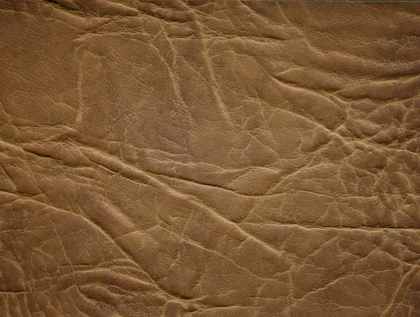 Una imagen de un bonito fondo de cuero. Textura de piel de vaca . — Foto de Stock