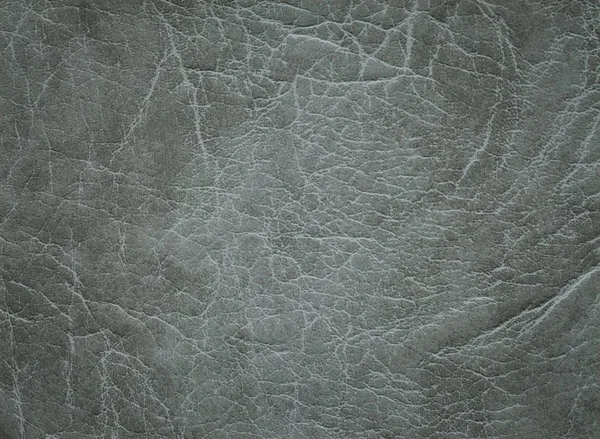 Una imagen de un bonito fondo de cuero. Textura de piel de vaca . — Foto de Stock