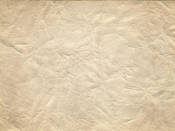 An image of a nice leather background. Cowhide texture. — Stock Photo, Image