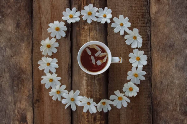 mug of warm tea on an old light wooden background with white chamomile petals in a circle of white flowers top view