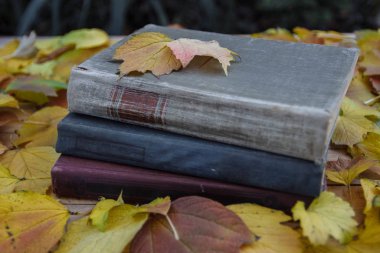  Düşmüş, sarı yeşil, kırmızı sonbahar yaprakları, yakın çekim ile bir masa üzerinde açık havada yatan eski, vintage kitap yığını