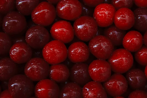 Kirazlar Olgun Kırmızı Sulu Kiraz Meyveleri Meyve Hasadı Konsepti Organik — Stok fotoğraf