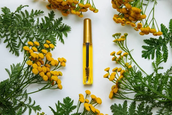 Eyelash and eyebrow oil in a plastic transparent bottle with a brush on a white background close-up with yellow tansy flowers, chamomile and green leaves, beauty concept, eyelash and eyebrow care and