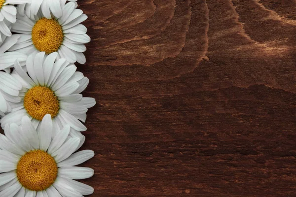 Witte Madeliefjes Bloemen Bruine Houten Achtergrond Bovenaanzicht Close Met Lege — Stockfoto