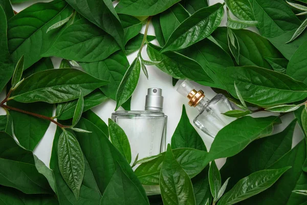 Yeşil Yapraklı Beyaz Arka Planda Iki Parfüm Şişesi Üst Görünüm — Stok fotoğraf