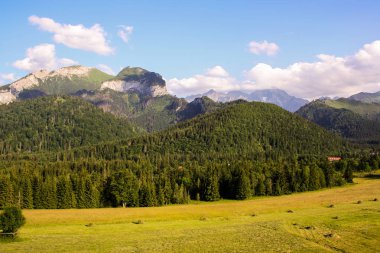 Panorama göl ve şelaleler ile yüksek tatra yeşil beskid dağlardan