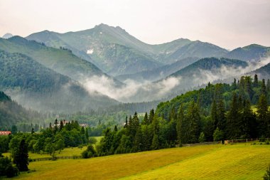 Panorama göl ve şelaleler ile yüksek tatra yeşil beskid dağlardan