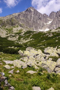 Panorama göl ve şelaleler ile yüksek tatra yeşil beskid dağlardan