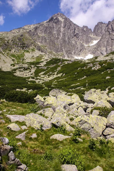 Panoráma Zöld Beskid Hegység Magas Tátra Vízesések — Stock Fotó