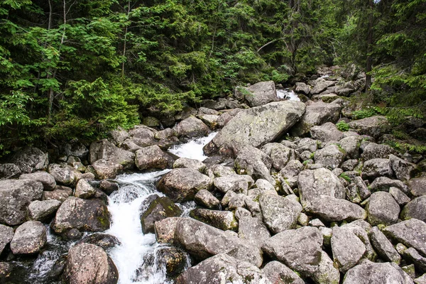 Panorama göl ve şelaleler ile yüksek tatra yeşil beskid dağlardan