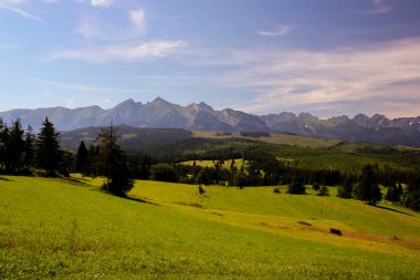 Panorama göl ve şelaleler ile yüksek tatra yeşil beskid dağlardan
