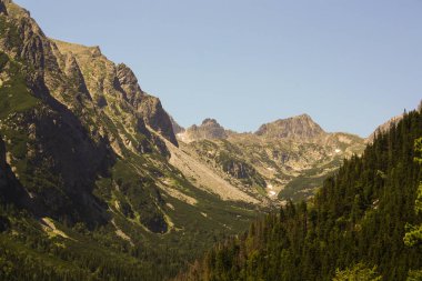 Panorama göl ve şelaleler ile yüksek tatra yeşil beskid dağlardan