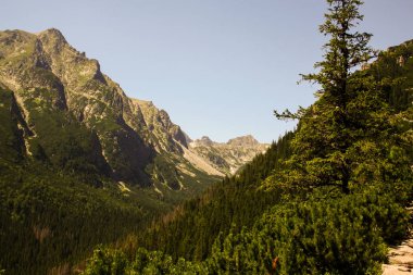 Panorama göl ve şelaleler ile yüksek tatra yeşil beskid dağlardan