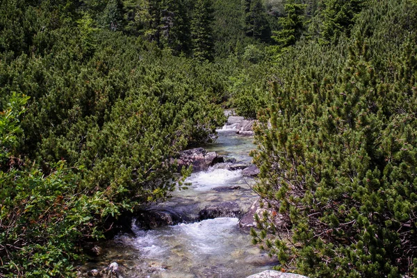 Panorama Från Gröna Beskid Bergen Höga Tatra Med Sjön Och — Stockfoto