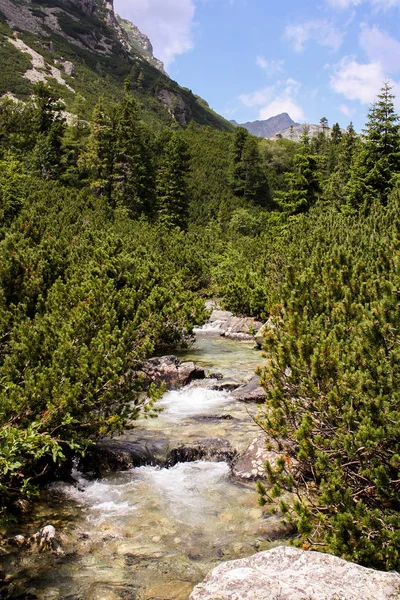 Panorama Zelené Beskyd Vysoké Tatry Jezera Vodopády — Stock fotografie
