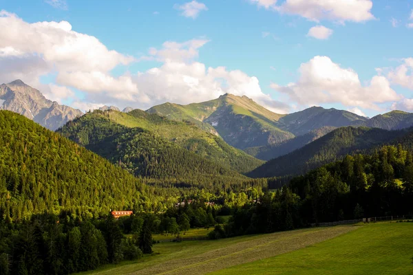 Panorama Das Montanhas Verdes Beskid Alta Tatra Com Lago Cachoeiras — Fotografia de Stock