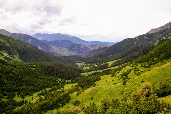 Panorama Das Montanhas Verdes Beskid Alta Tatra Com Lago Cachoeiras — Fotografia de Stock