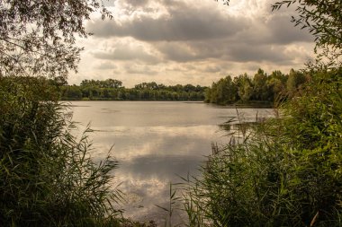 Göl lauer resimden yakınındaki leipzig. Bir orman içinde doğal bir deniz gibi. Yüzme, su sporları ve bisikletçiler ve içinde yayalar için harika bir yol için güzel bir yer burası Turizm kavramı yeni lakeland(neu seenland) bir parçasıdır 