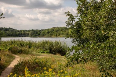 Göl lauer resimden yakınındaki leipzig. Bir orman içinde doğal bir deniz gibi. Yüzme, su sporları ve bisikletçiler ve içinde yayalar için harika bir yol için güzel bir yer burası Turizm kavramı yeni lakeland(neu seenland) bir parçasıdır 