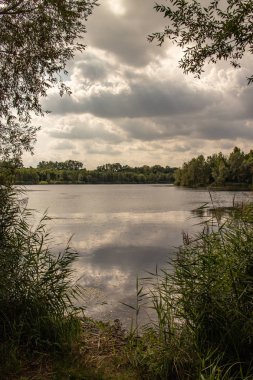 Göl lauer resimden yakınındaki leipzig. Bir orman içinde doğal bir deniz gibi. Yüzme, su sporları ve bisikletçiler ve içinde yayalar için harika bir yol için güzel bir yer burası Turizm kavramı yeni lakeland(neu seenland) bir parçasıdır 