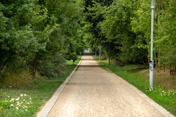 Bild Von Einem Weg Zum Cospudener See Der Nähe Von — Stockfoto