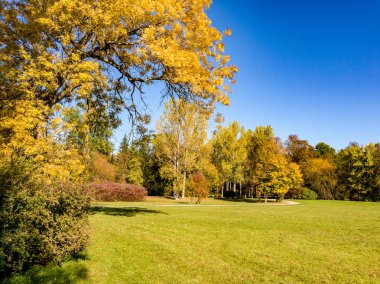 Park sonbahar yatay, sonbahar renkli ağaçlar, çayır ve nehirler Weimar, Thuringia, Almanya