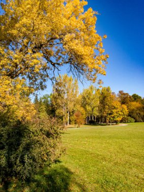 Park sonbahar yatay, sonbahar renkli ağaçlar, çayır ve nehirler Weimar, Thuringia, Almanya