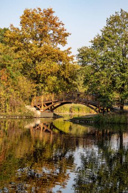Harika sonbahar görünümü caddeleri, gölet, köprü ve parlak renkli ağaçlar ve yaprakları Leipzig