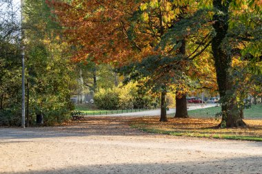 Harika sonbahar görünümü caddeleri, gölet, köprü ve parlak renkli ağaçlar ve yaprakları Leipzig