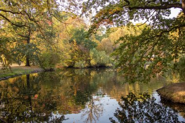 Harika sonbahar görünümü caddeleri, gölet, köprü ve parlak renkli ağaçlar ve yaprakları Leipzig