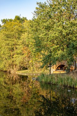 Harika sonbahar görünümü caddeleri, gölet, köprü ve parlak renkli ağaçlar ve yaprakları Leipzig