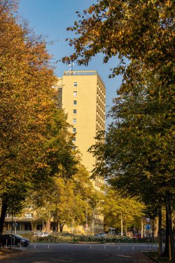 Harika sonbahar görünümü caddeleri, gölet, köprü ve parlak renkli ağaçlar ve yaprakları Leipzig