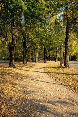 Harika sonbahar görünümü caddeleri, gölet, köprü ve parlak renkli ağaçlar ve yaprakları Leipzig
