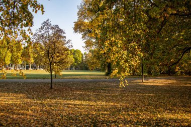 Harika sonbahar görünümü caddeleri, gölet, köprü ve parlak renkli ağaçlar ve yaprakları Leipzig