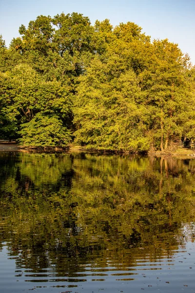 Harika sonbahar görünümü caddeleri, gölet, köprü ve parlak renkli ağaçlar ve yaprakları Leipzig