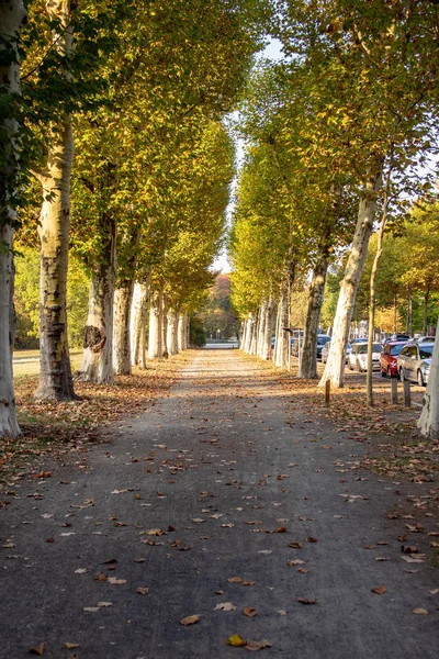 橋と色鮮やかな木とライプツィヒで葉の秋景色 — ストック写真