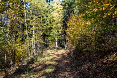 Renkli sonbahar ormanda yürüyüş parkurları ile Ore Mountains