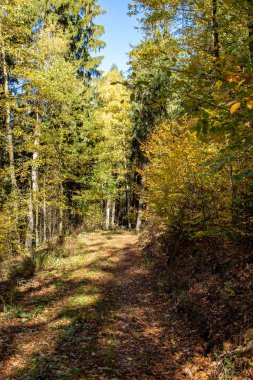 Renkli sonbahar ormanda yürüyüş parkurları ile Ore Mountains