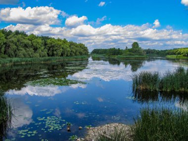 Macar doğa manzarası içinde KIS Balaton (küçük Balaton) rezerv yakın bitki örtüsü Balaton Gölü mavi gökyüzü ile yeşil ve mavi su