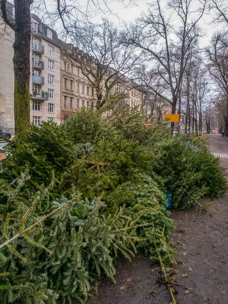 Eski Noel ağaçları toplandıktan sonra Leipzig'deki bertarafı için Noel