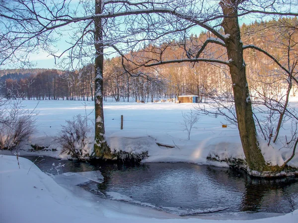 Vista Uma Paisagem Inverno Floresta Turíngia Com Muita Neve Árvores — Fotografia de Stock