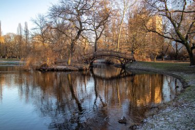 Gölet Park Romantik köprüler, Leipzig kış mavi gökyüzü ile kilise ile