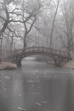 Romantik köprüler ile parkta gölet Leipzig kışın soğuk sisli havada donup kalan ev