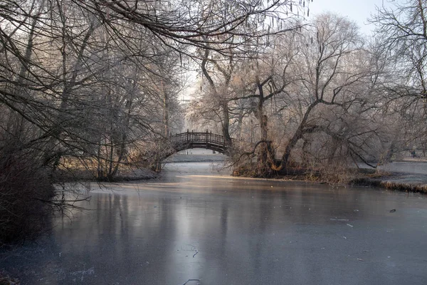 Lago Congelado Parque Com Pontes Românticas Inverno Leipzig Tempo Gelado — Fotografia de Stock