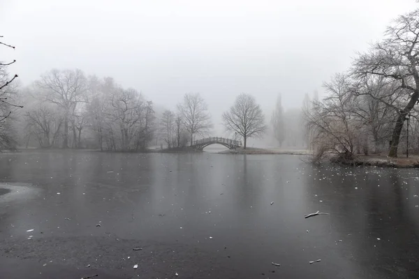 Frossen Dam Parken Med Romantiske Broer Vinteren Leipzig Køligt Tåget - Stock-foto