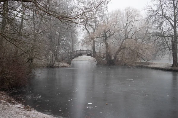 Lago Congelado Parque Com Pontes Românticas Inverno Leipzig Tempo Nevoeiro — Fotografia de Stock