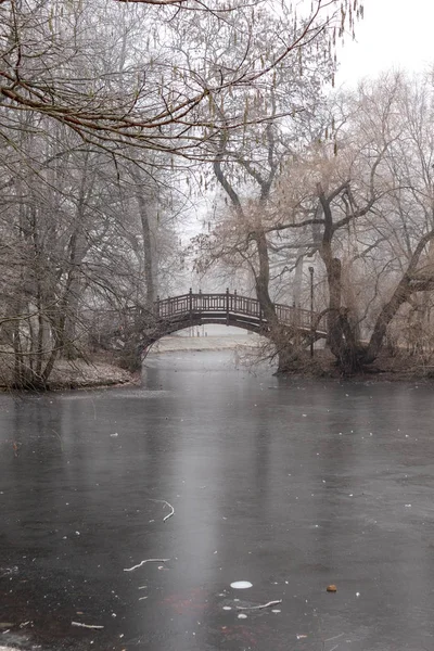 Lago Congelado Parque Com Pontes Românticas Inverno Leipzig Tempo Nevoeiro — Fotografia de Stock