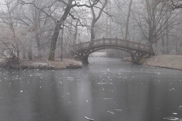 Lago Congelado Parque Com Pontes Românticas Inverno Leipzig Tempo Nevoeiro — Fotografia de Stock