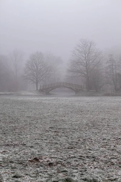 Romantik köprüler ile parkta gölet Leipzig kışın soğuk sisli havada donup kalan ev