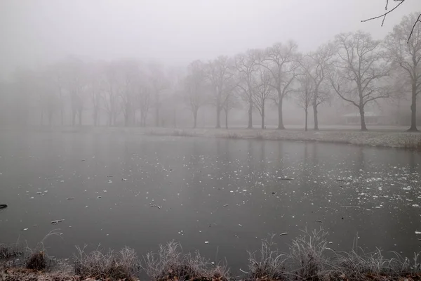 Paisagem Parque Leipzig Inverno Com Árvores Geladas Tempo Nevoeiro Gelado — Fotografia de Stock